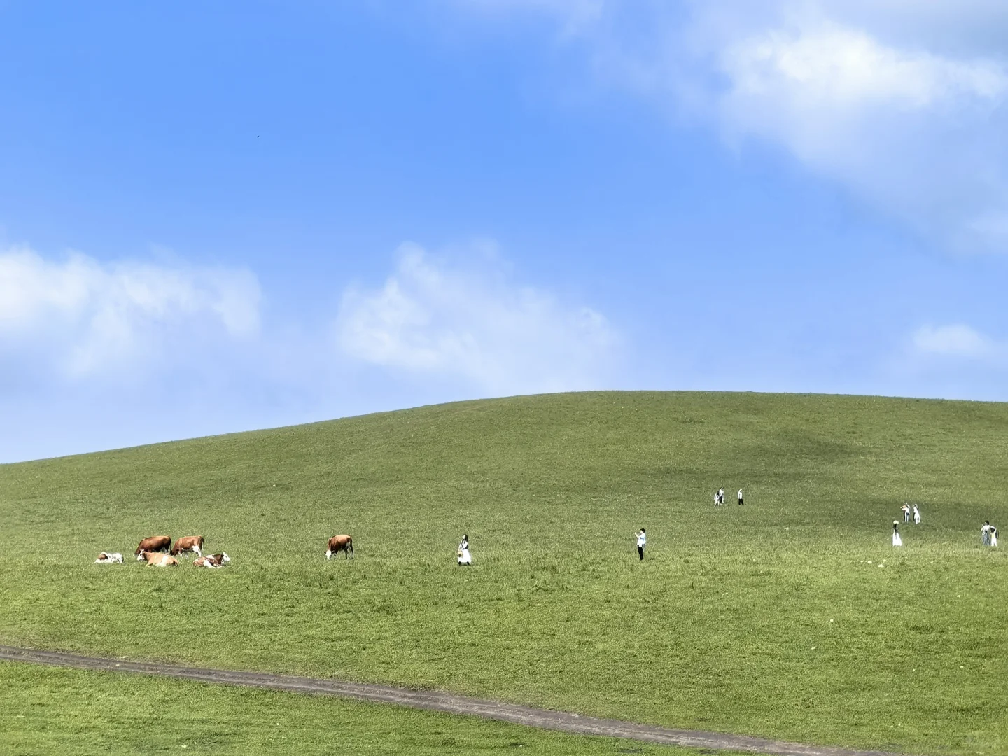 乌兰布统小众免费景点（一）烟子窑湖