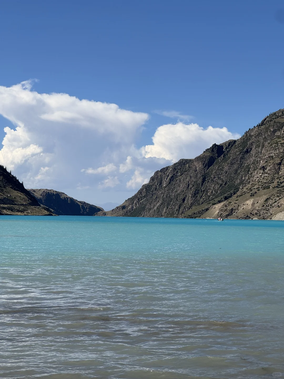 麦田雪山牛羊玉湖
