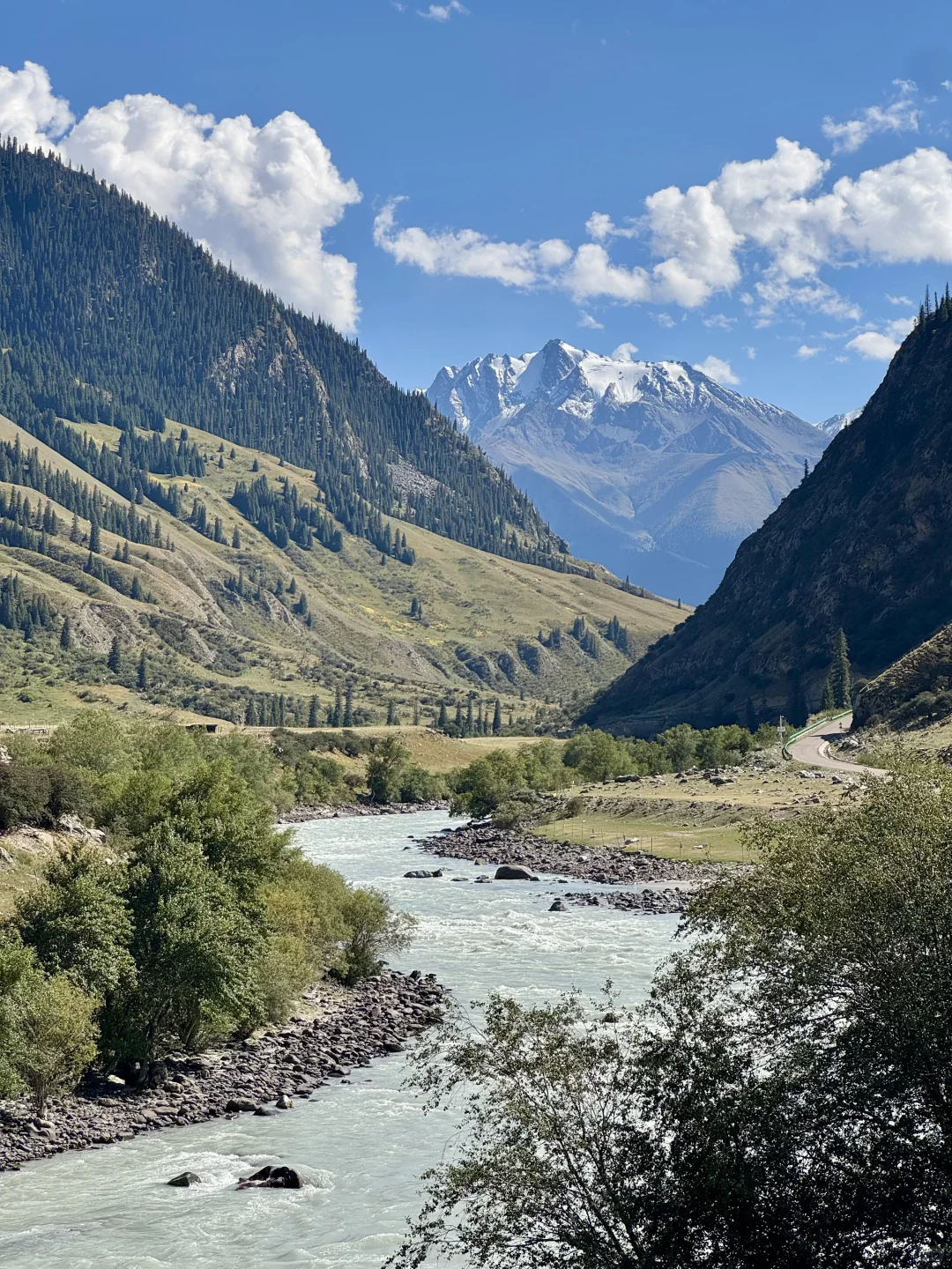 麦田雪山牛羊玉湖