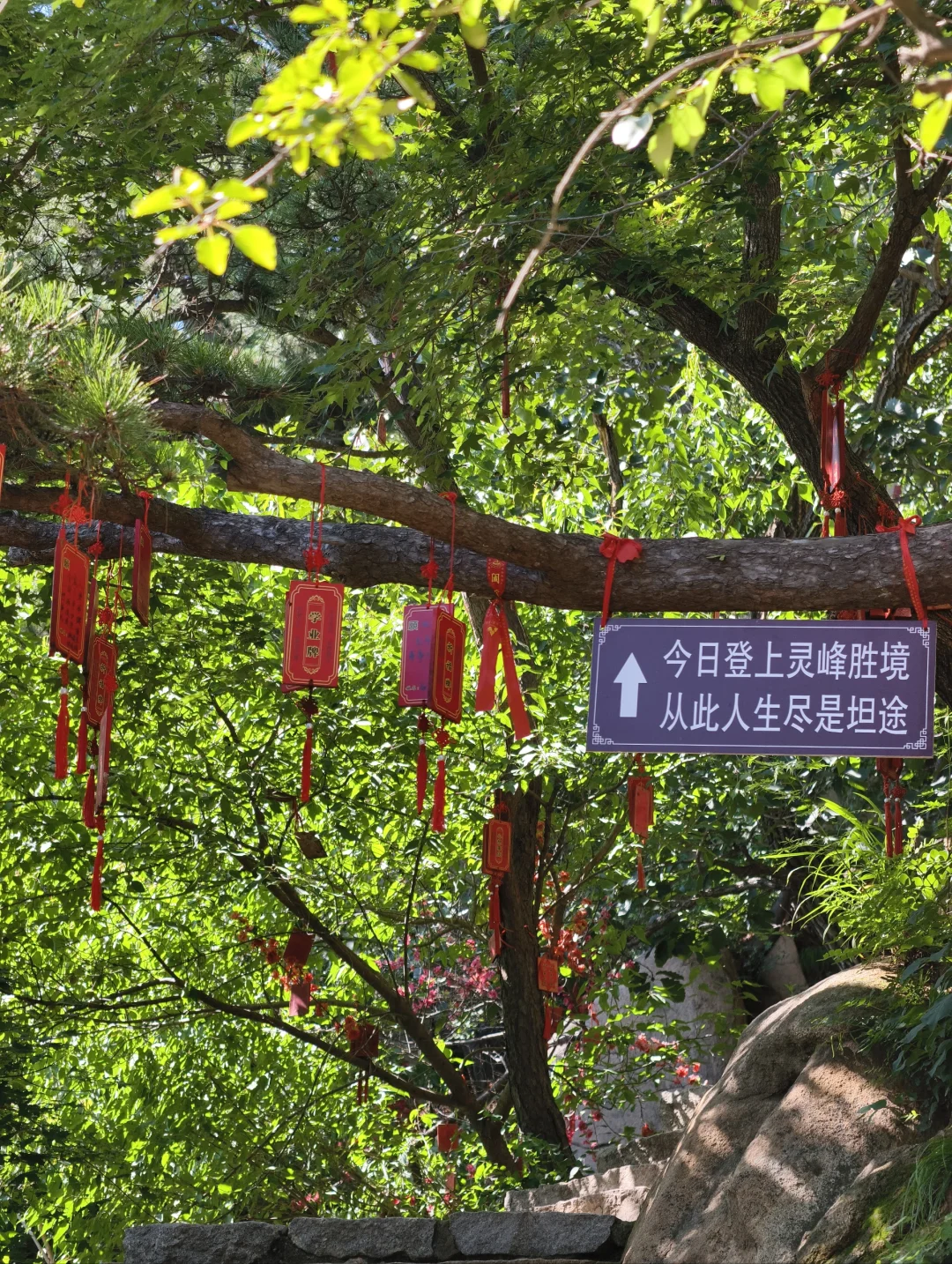 📍蓟州盘山 | 人在爬山~工作过两天再说