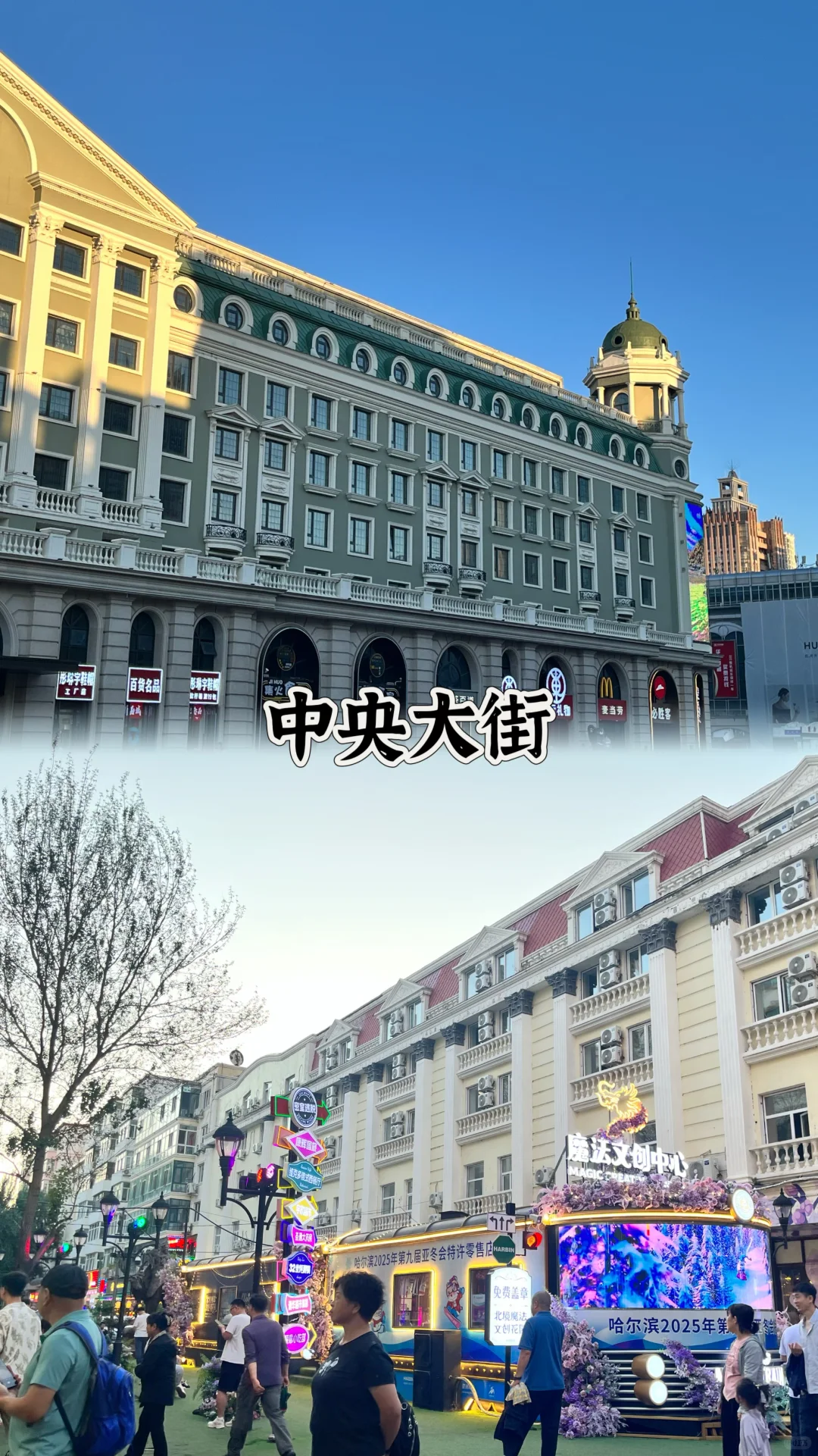 夏天去哈尔滨也太舒服了吧