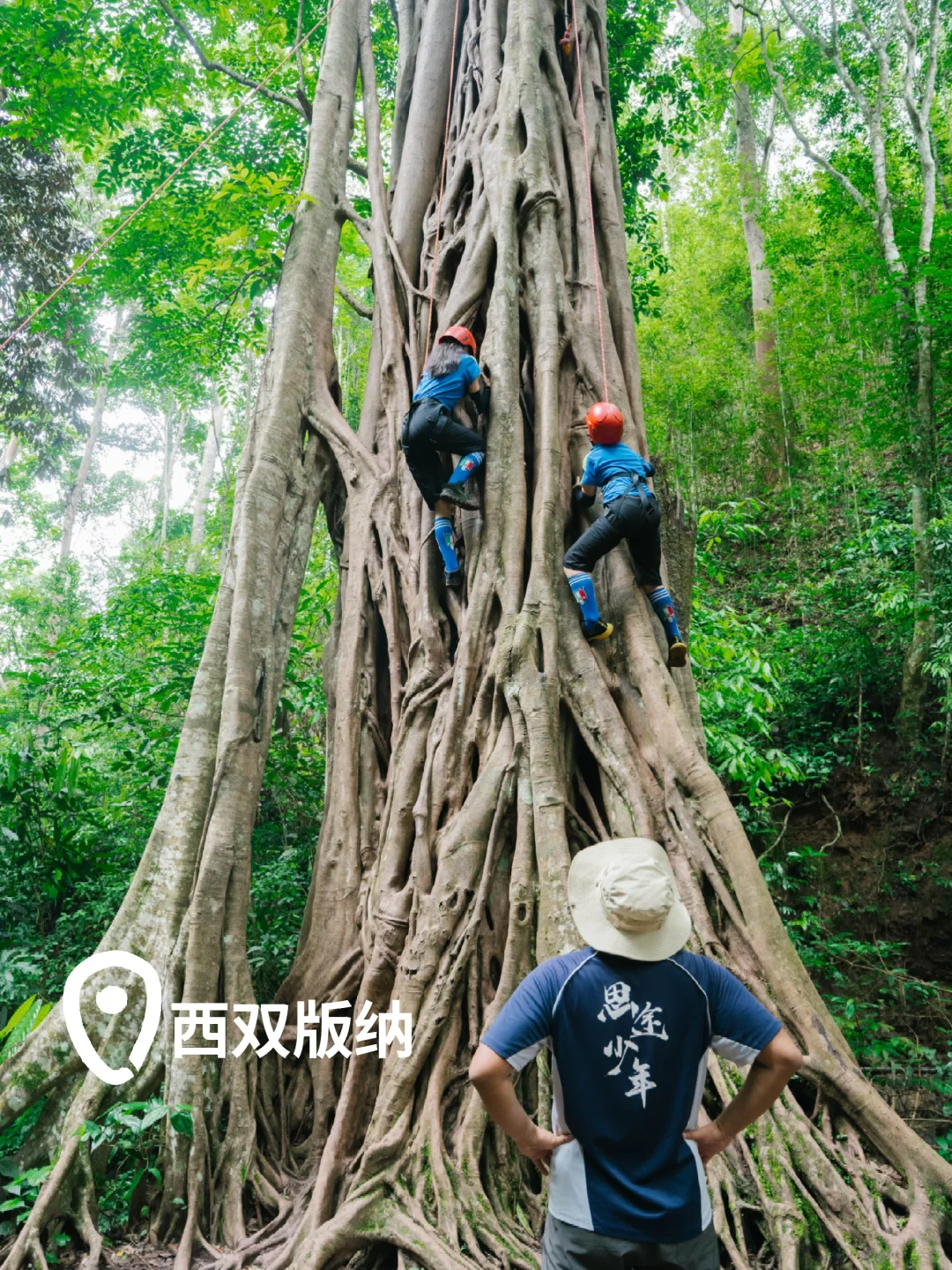 推荐10个【适合国庆遛娃冷门宝藏地】