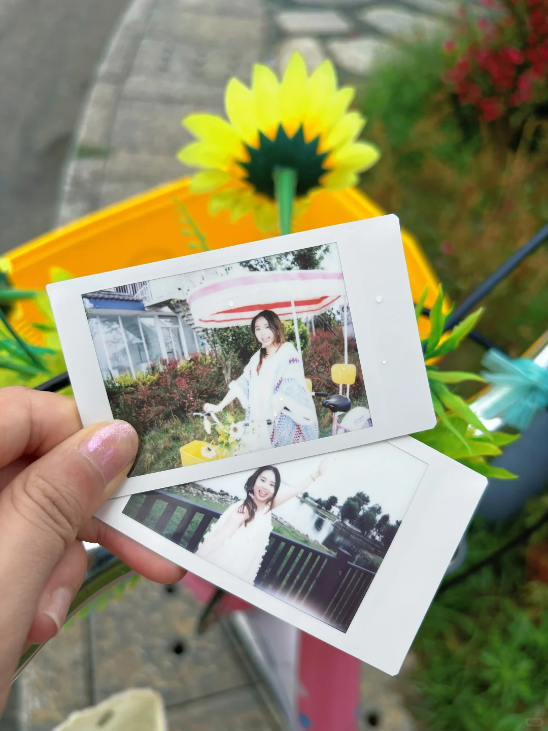 熬夜写的5千字云南旅游攻略！情侣闺蜜抄作业