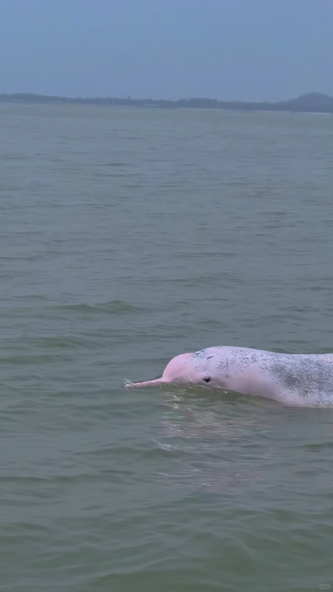 实话难听，提醒节假日带娃去崇左钦州的（不删