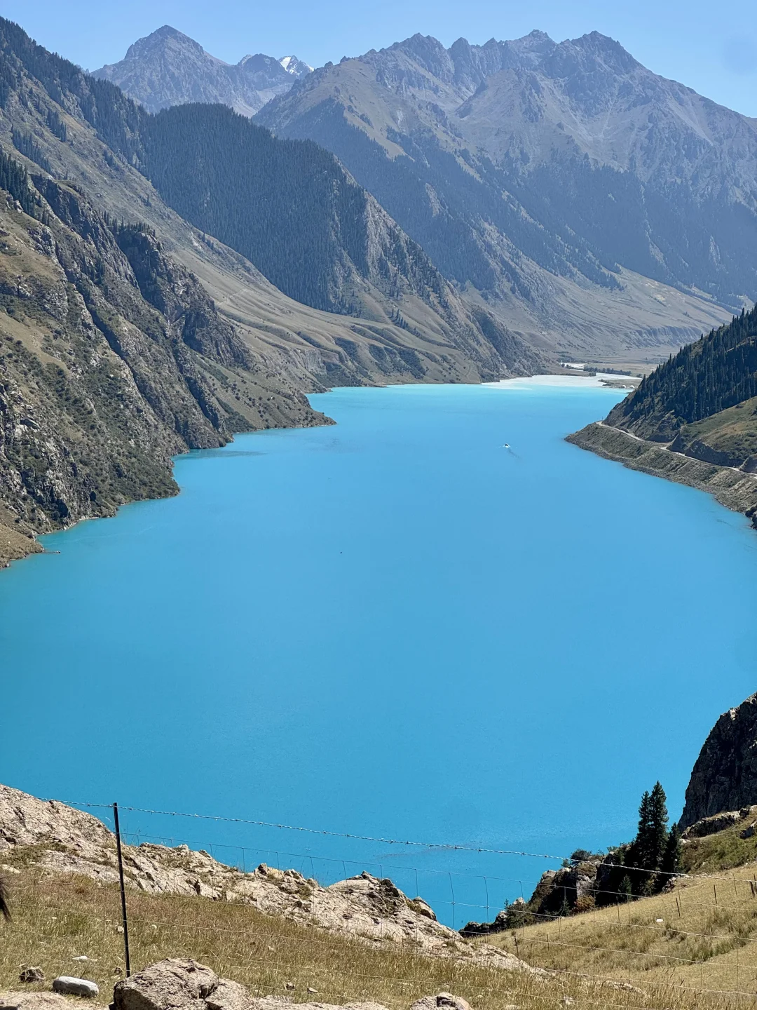 麦田雪山牛羊玉湖