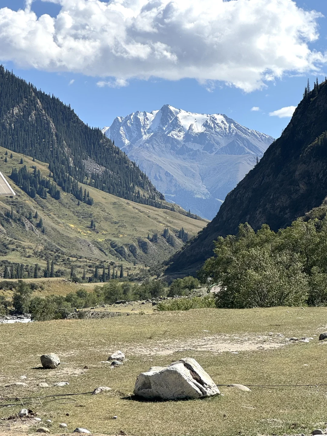 麦田雪山牛羊玉湖