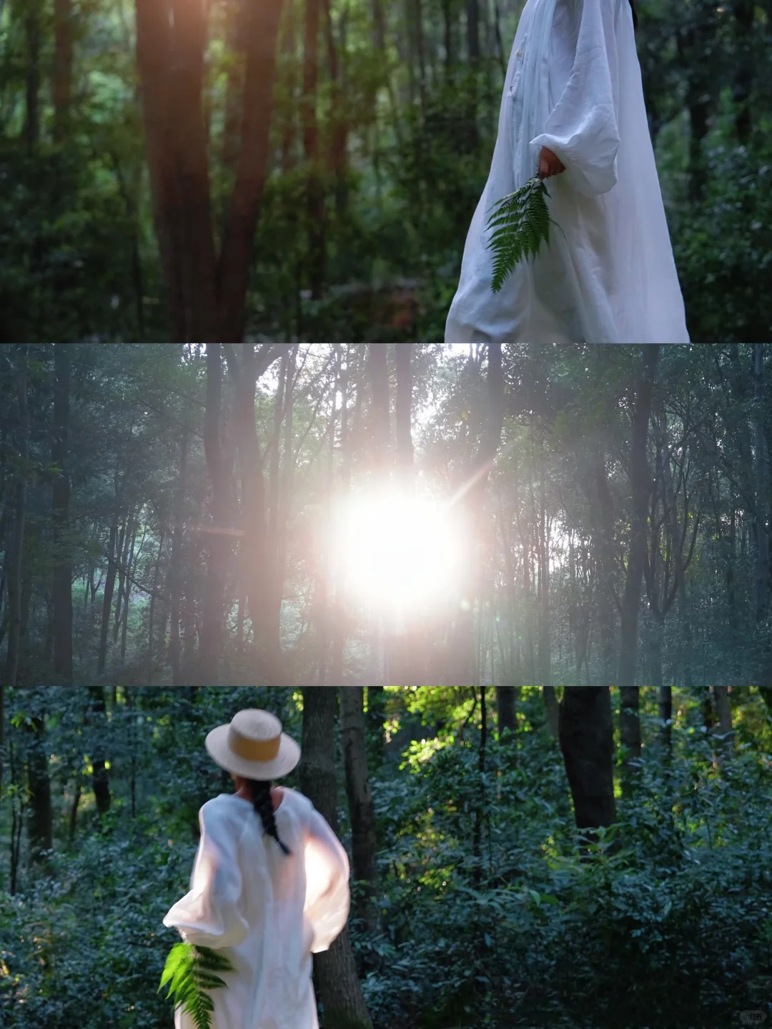 不是桂林！是江西！被低估的世界遗产美哭了😭