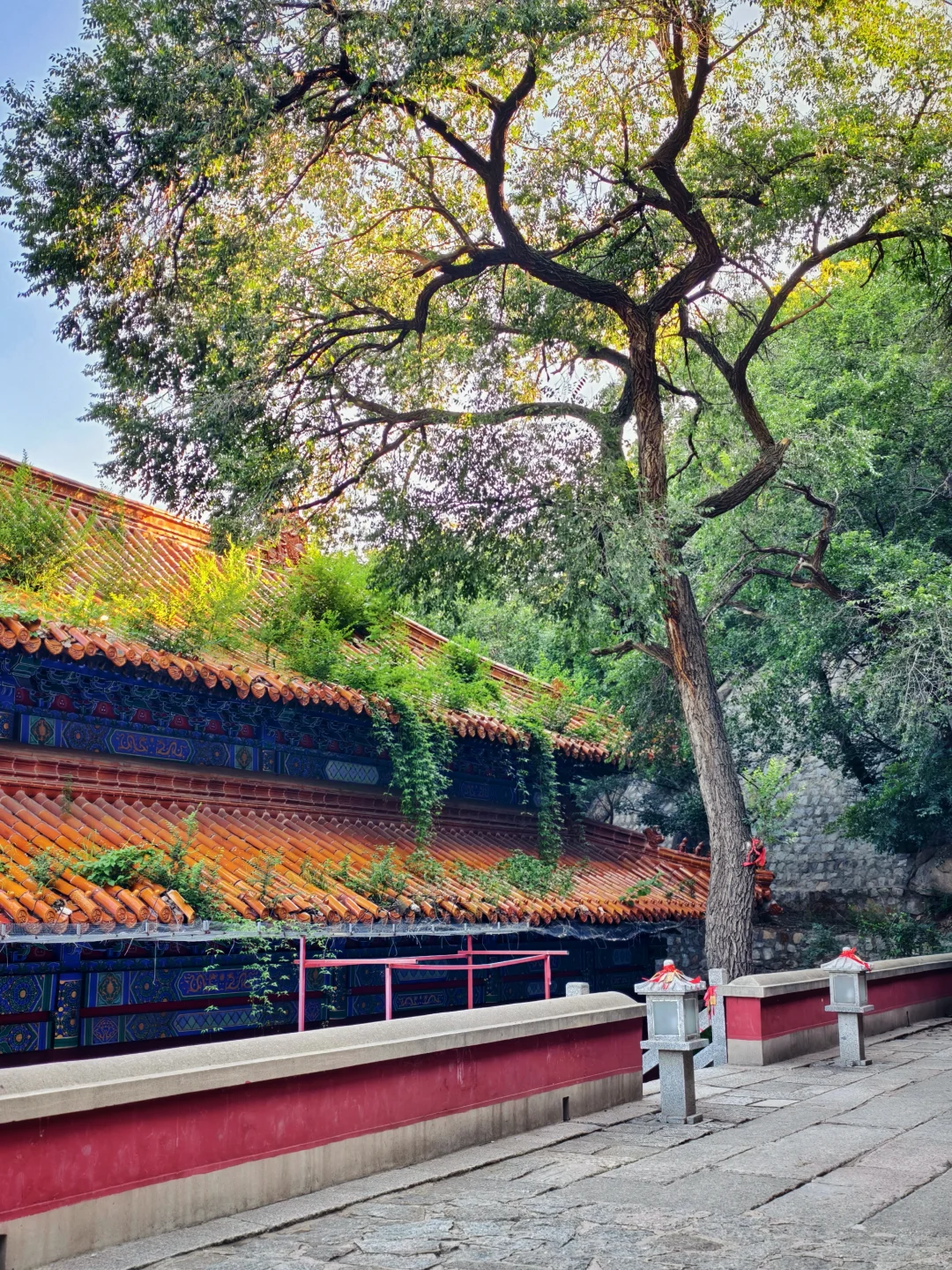 📍蓟州盘山 | 人在爬山~工作过两天再说