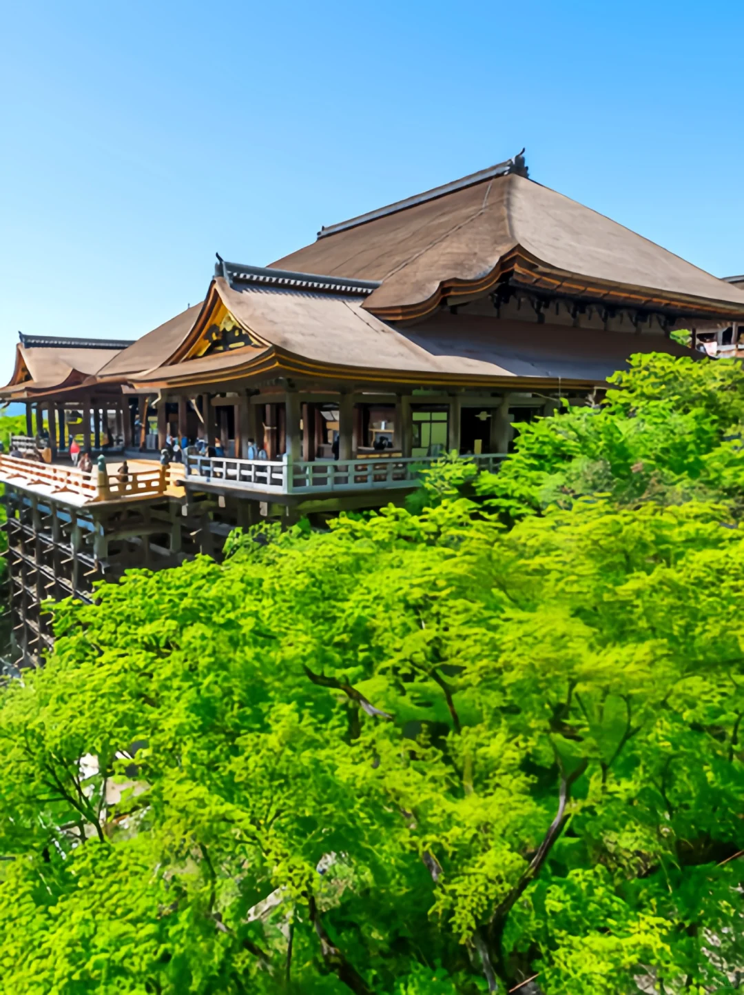 🏯京都暴走48小时！六大必玩景点全攻略