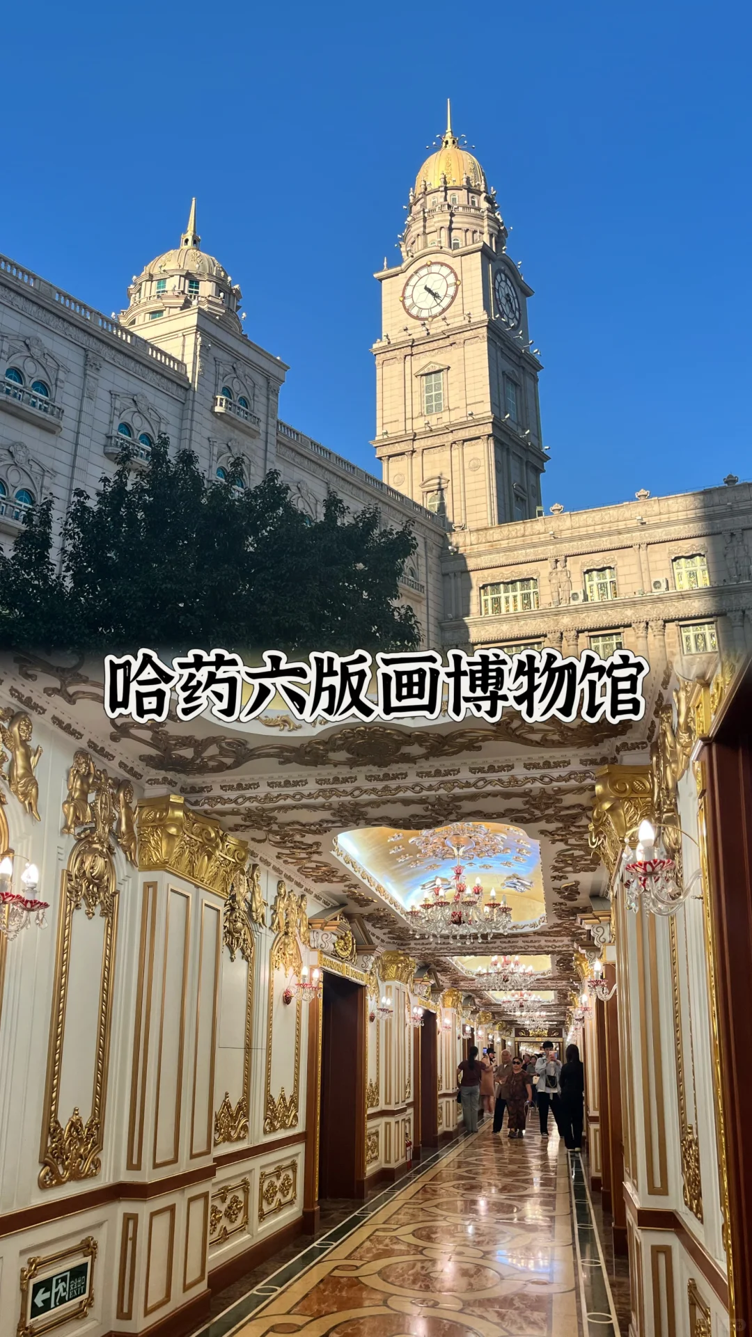 夏天去哈尔滨也太舒服了吧