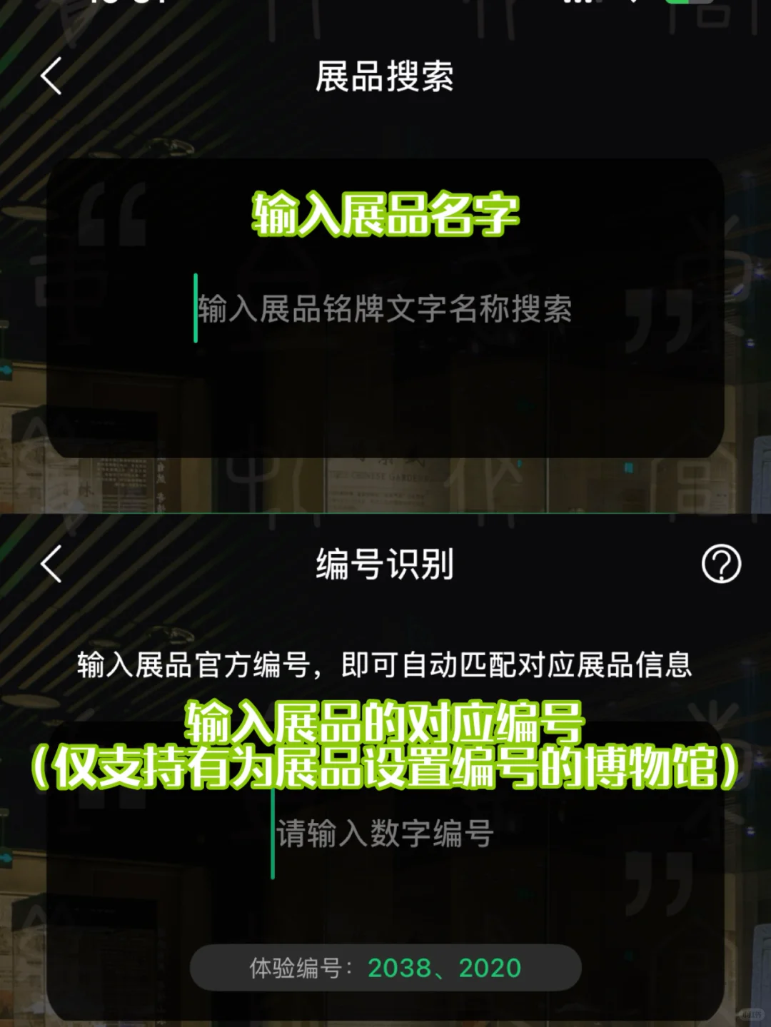 我猜80%的游客都不知道龙门石窟的讲解…