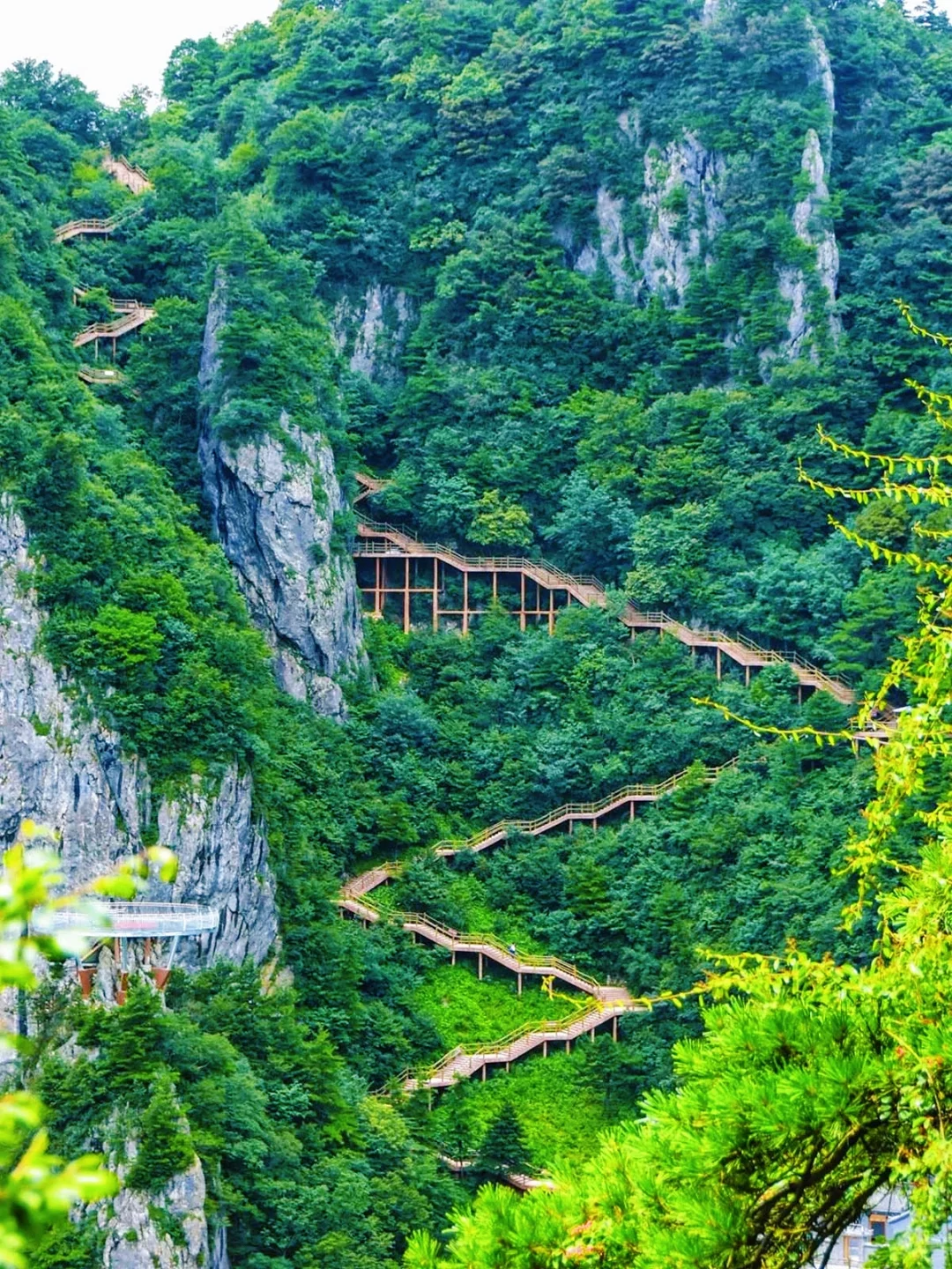 西安1.5h直达🚕无痛爬山！邂逅云海仙境！