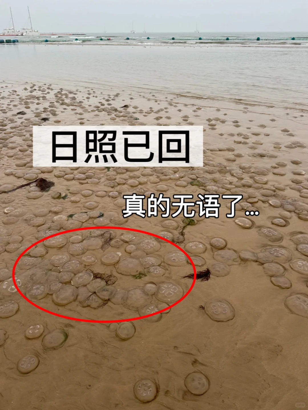 到了日照才发现自己带的衣服有多好笑