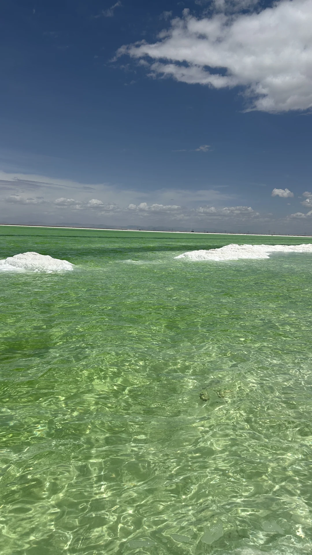 青甘大环线强推