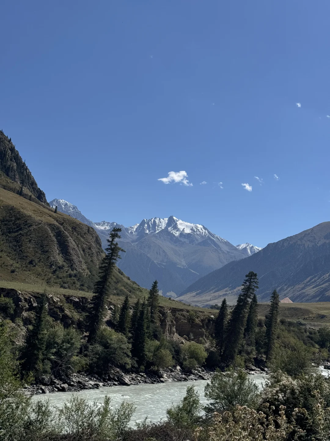 麦田雪山牛羊玉湖
