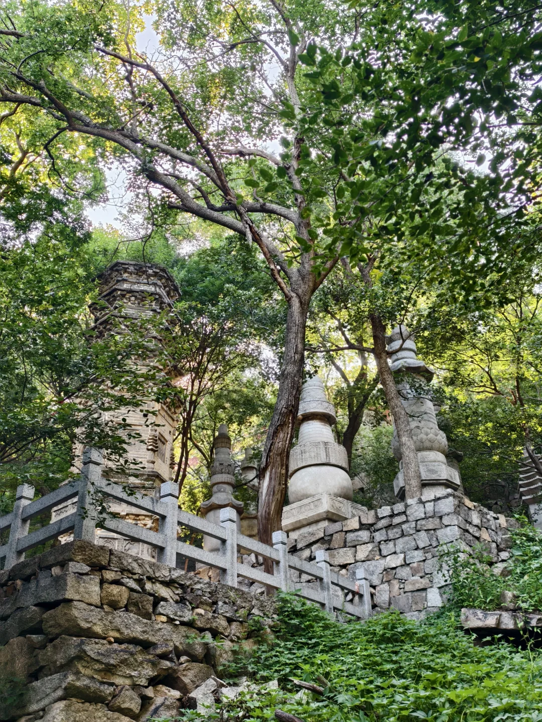 📍蓟州盘山 | 人在爬山~工作过两天再说