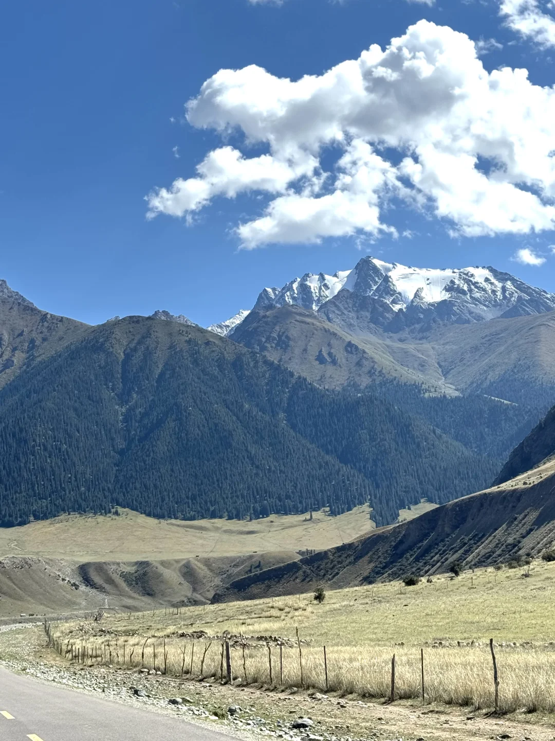 麦田雪山牛羊玉湖