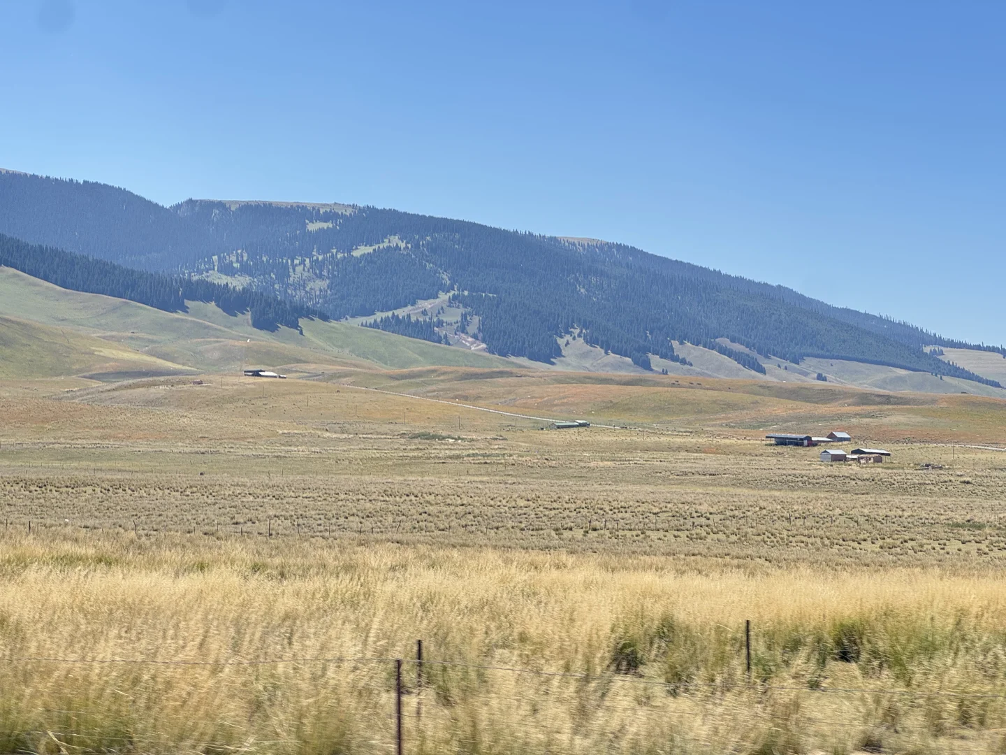 麦田雪山牛羊玉湖