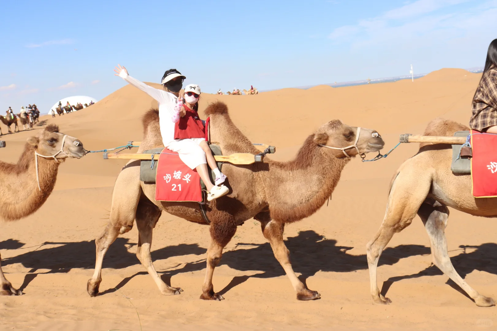 📍带娃冲沙坡头啦｜第二天攻略！