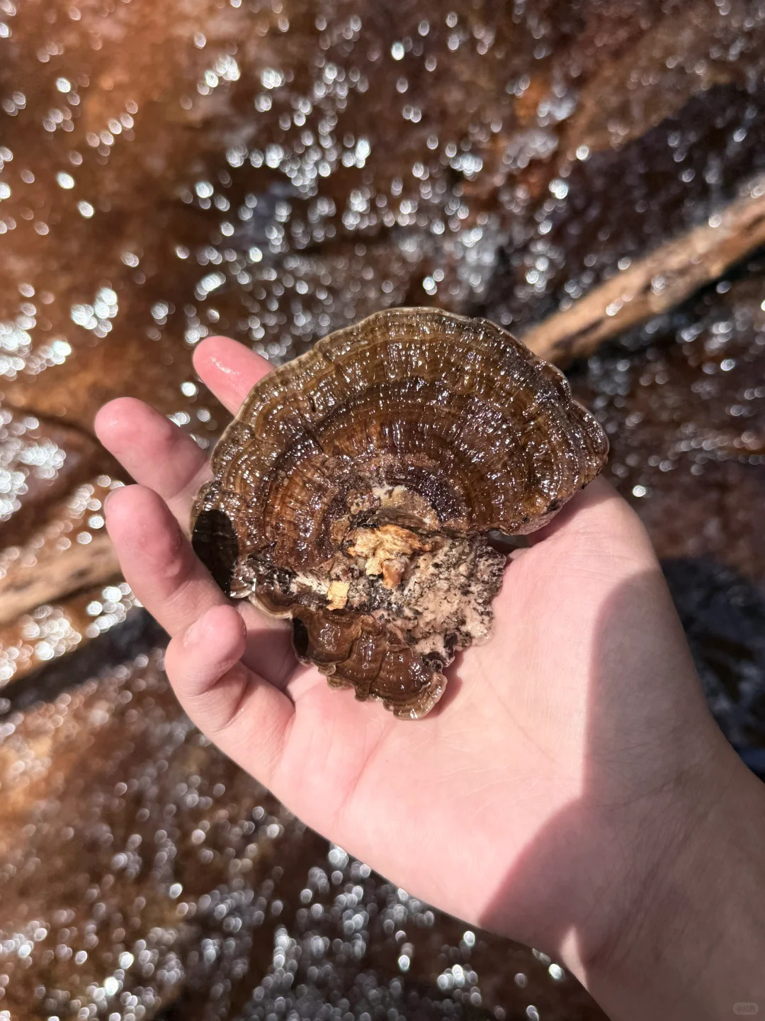 当然要多出去走走 我又不是一直二十🌸