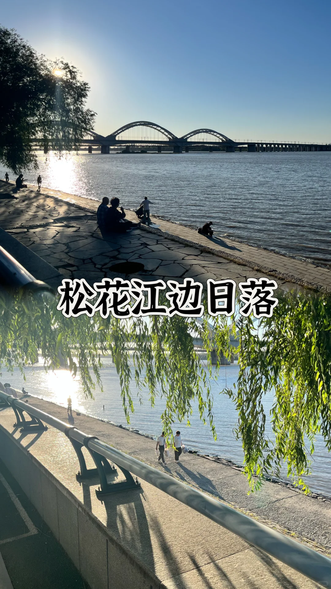 夏天去哈尔滨也太舒服了吧