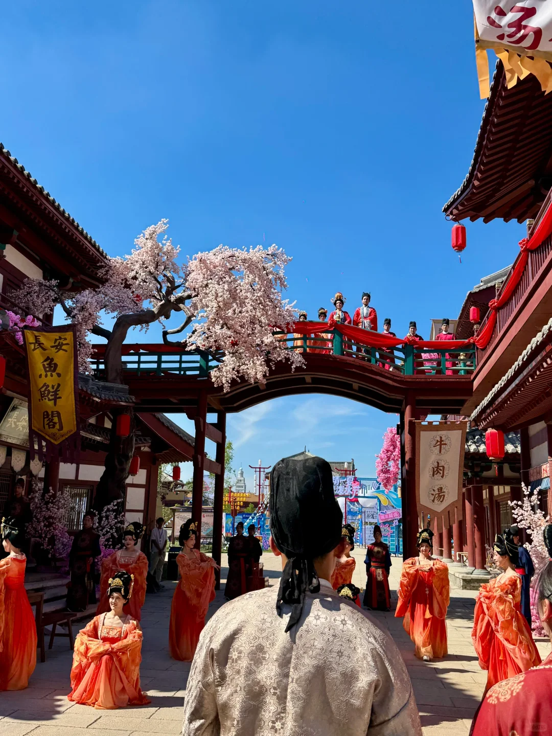 真的没在国外！来山东德州见世面了！