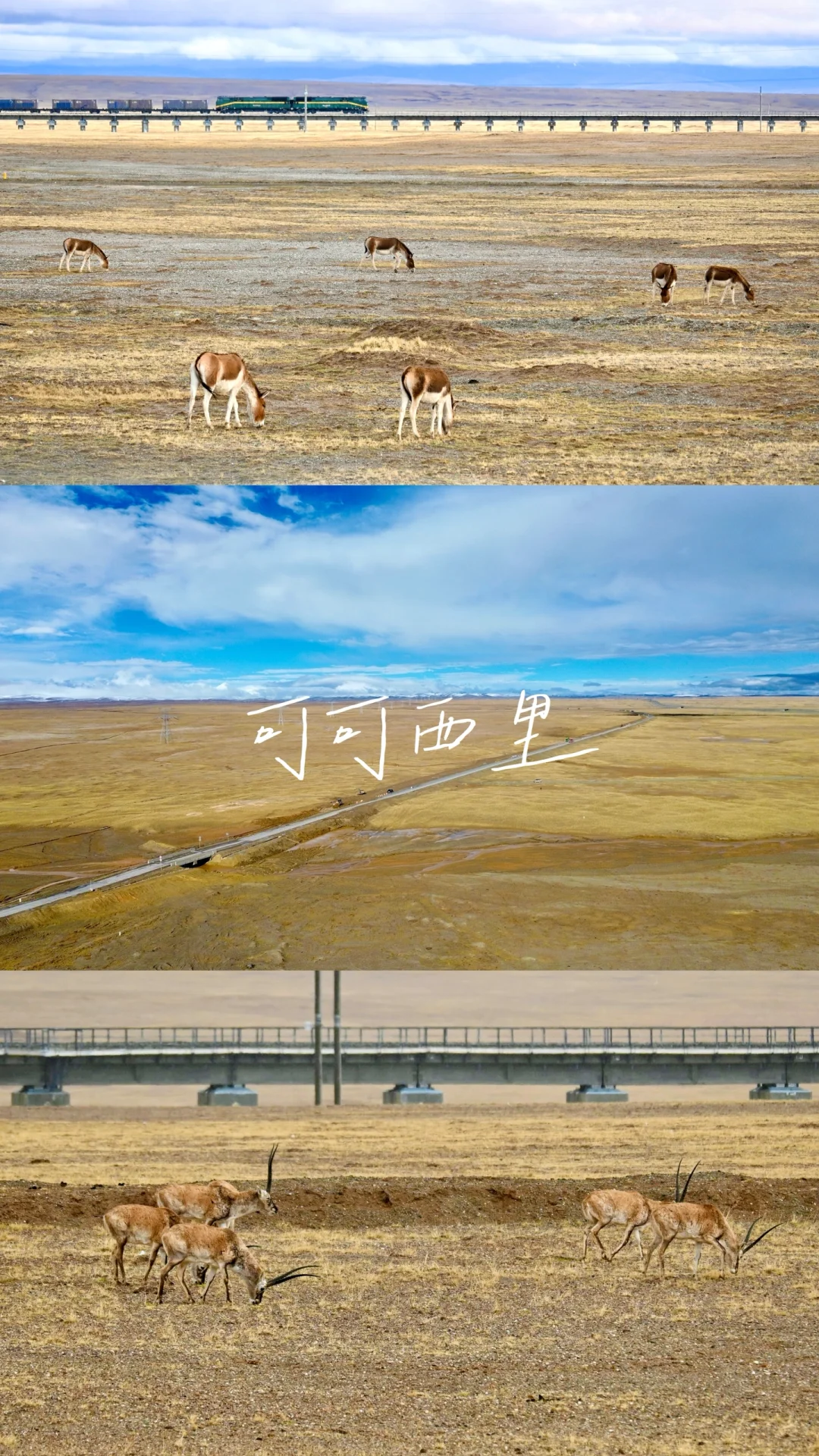 西北是一场五彩斑斓的梦（附超详细攻略一）