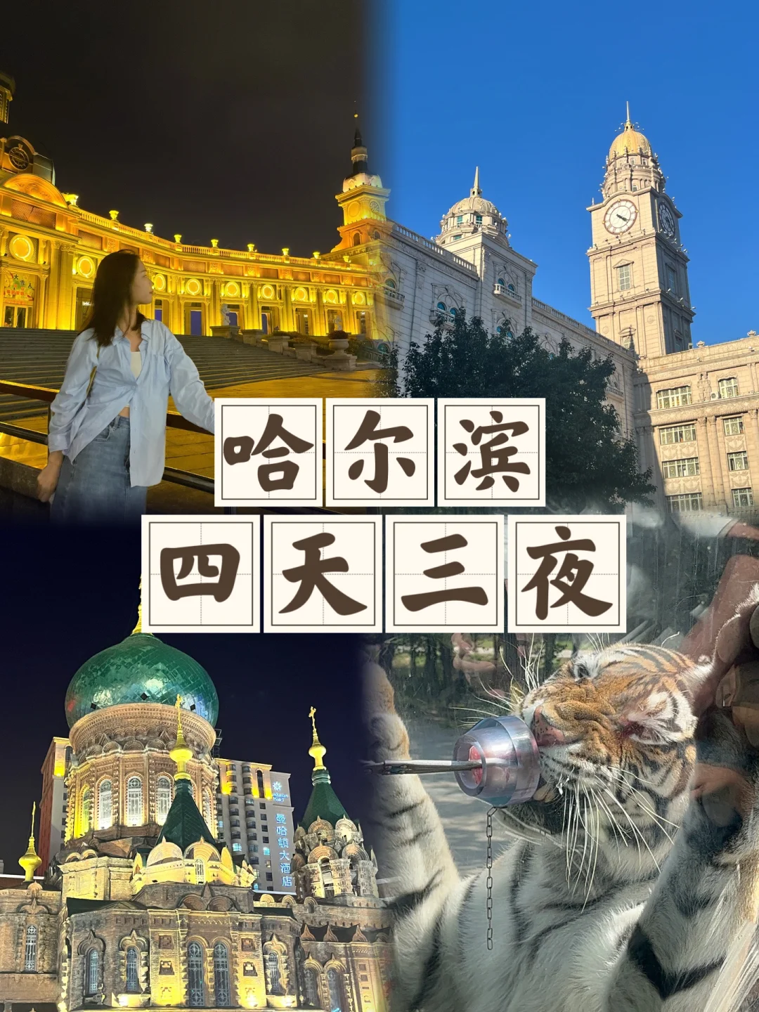 夏天去哈尔滨也太舒服了吧