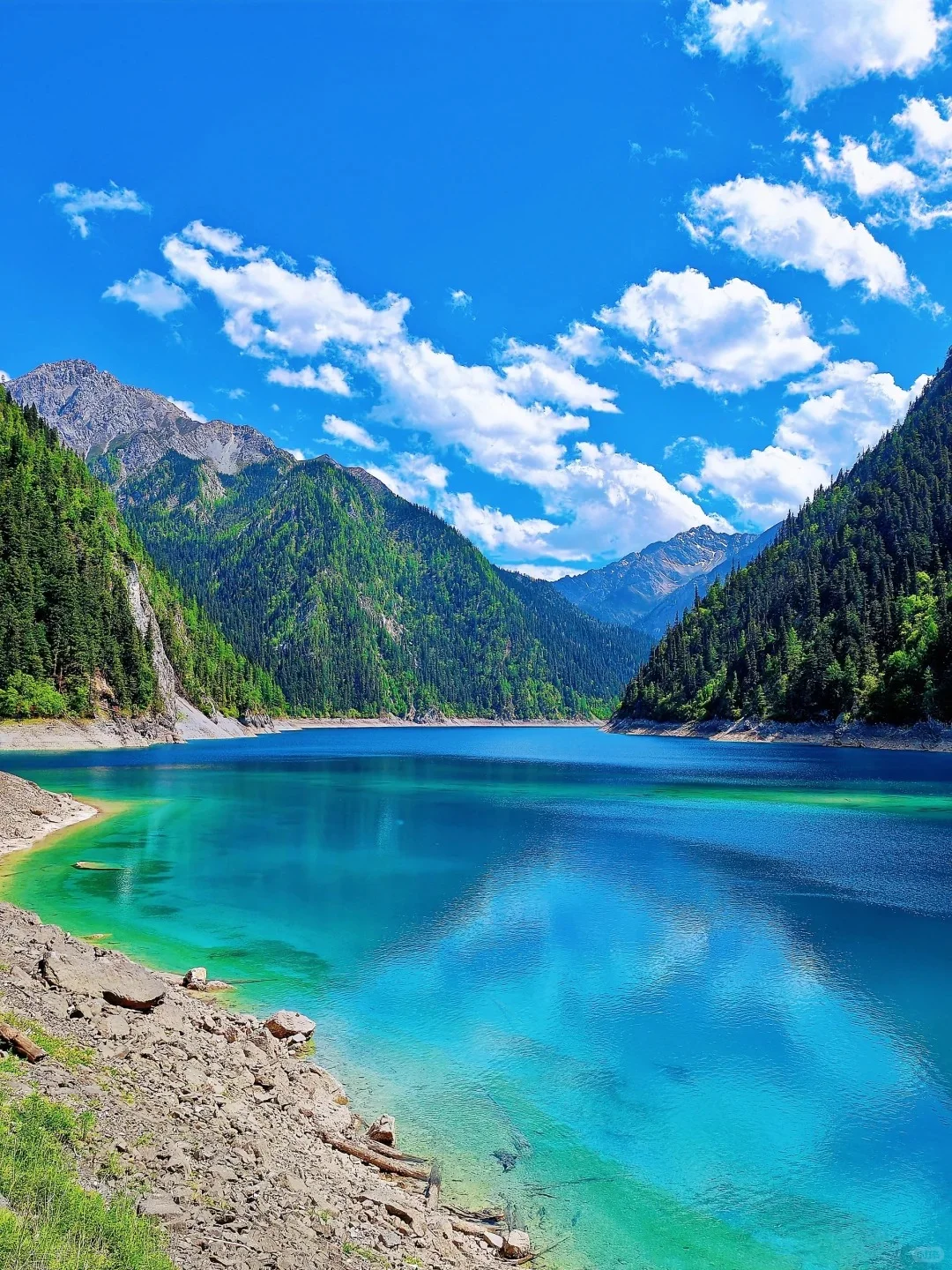 不在瑞士...7-8月的川西🏔！！美到失语😭