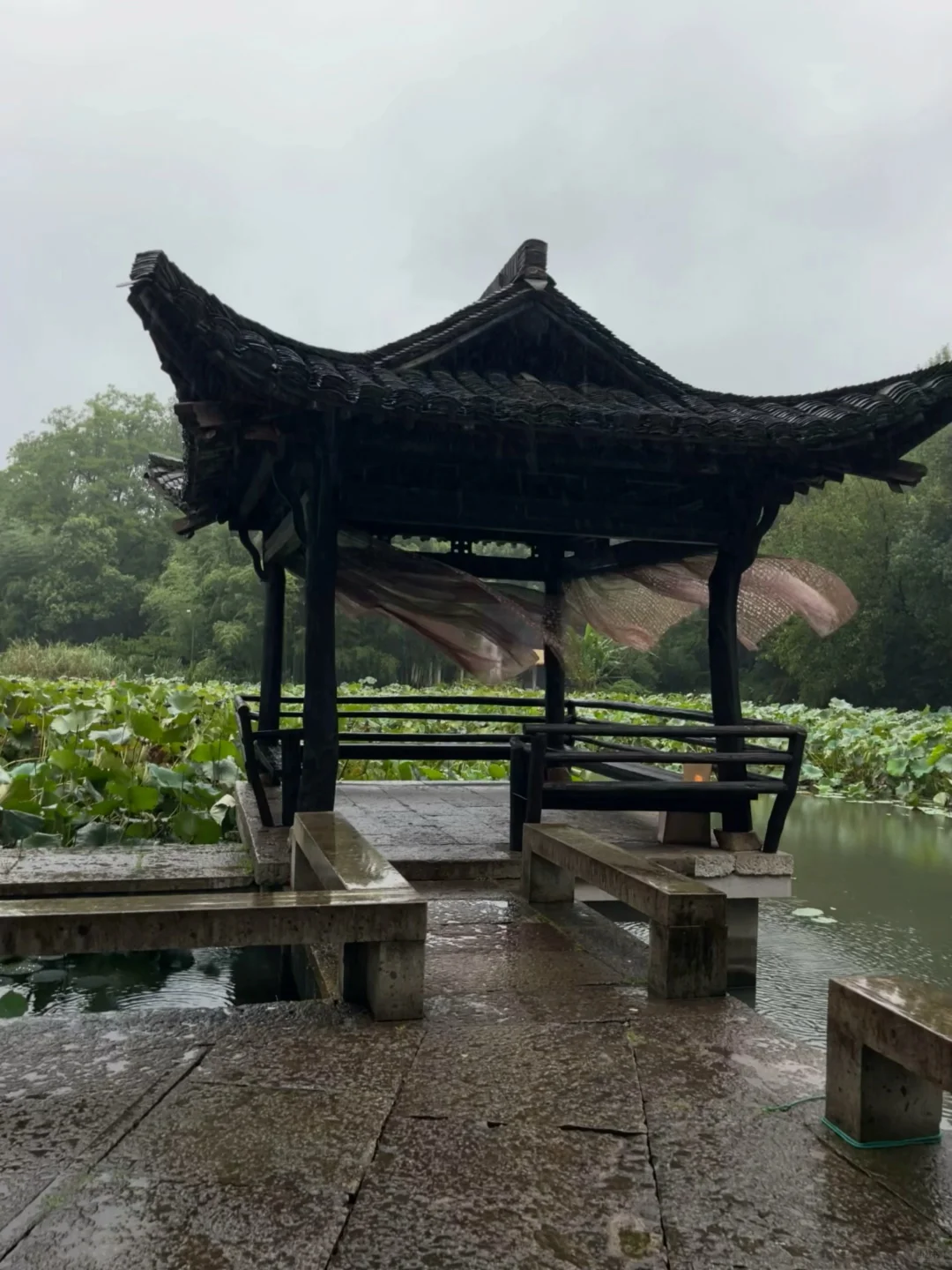 刚从绍兴旅游回来！😭😭只想说一些大实话…