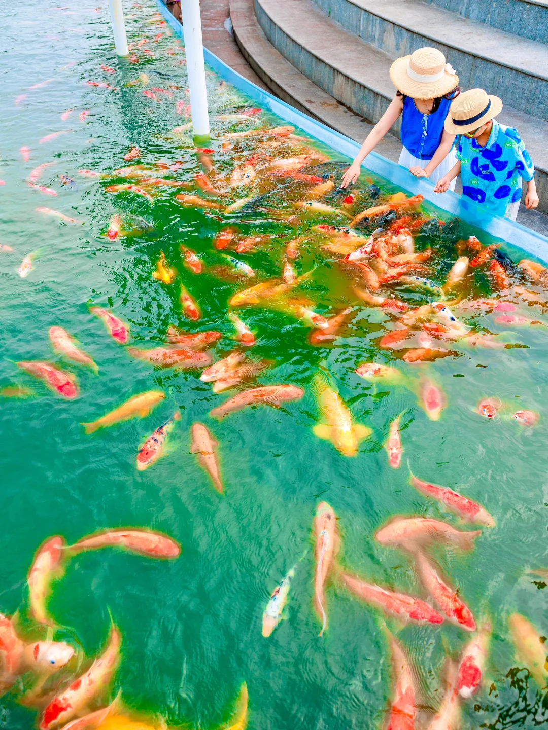 还出什么国，河北竟然美到这种程度了❗️❗️