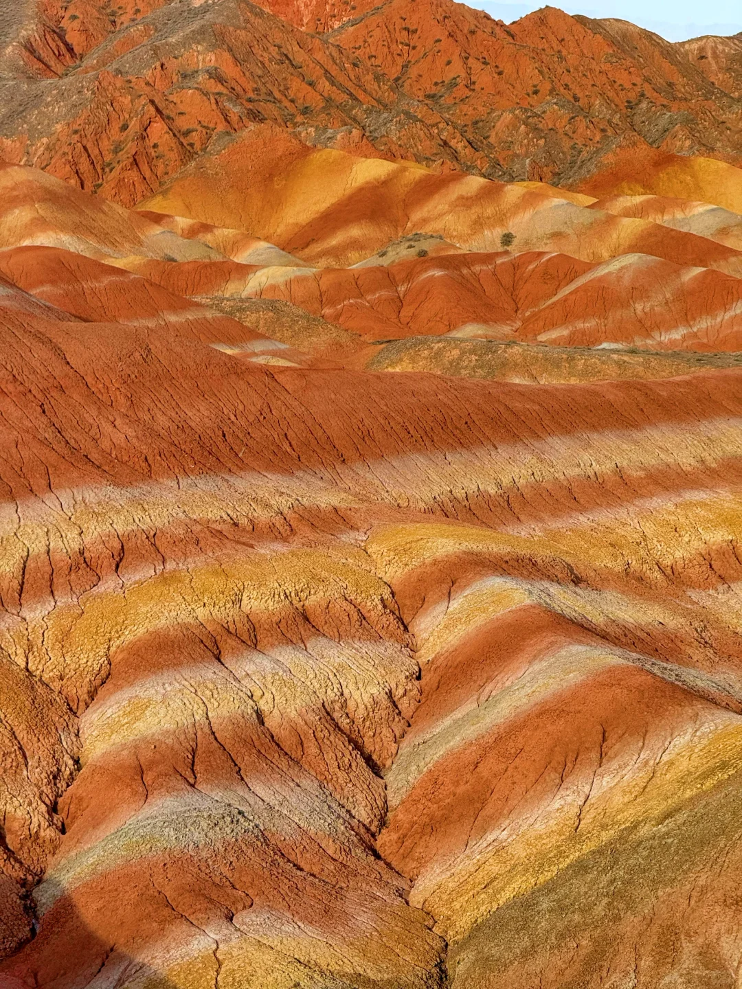 在大西北拍到了18张人生Live!🌈