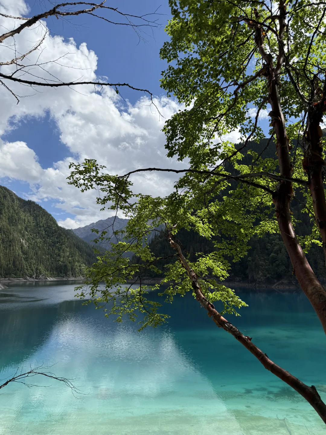 长大后，我开始理解为啥爸妈总找小城旅游