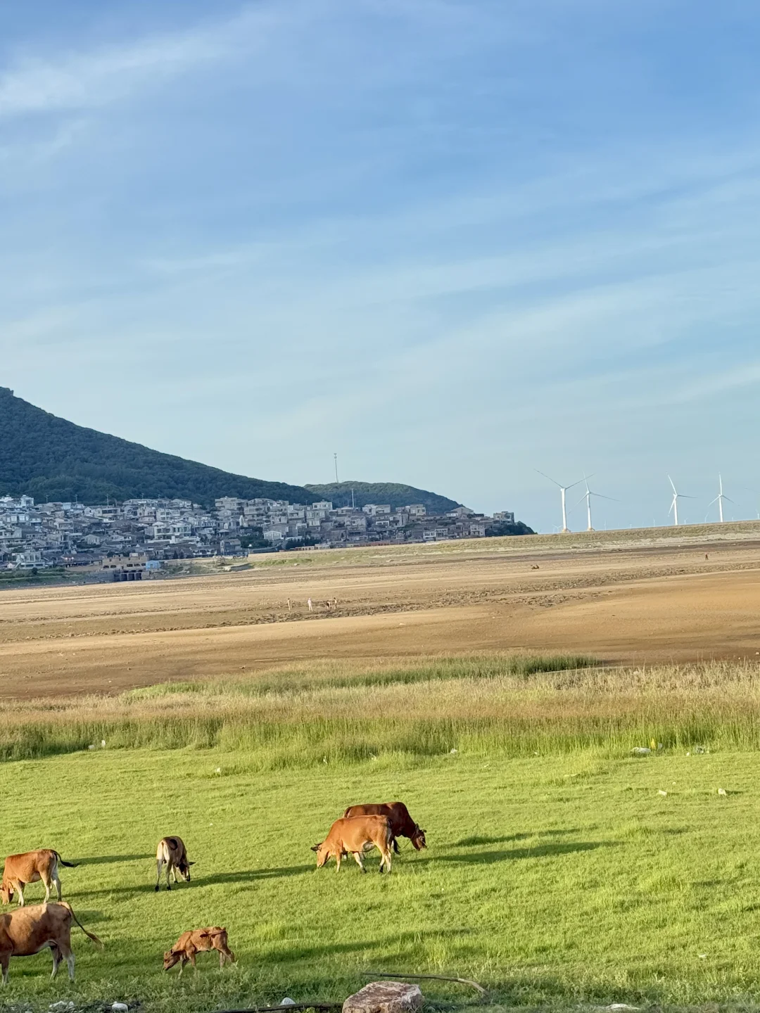 合肥出发｜三天两夜｜湄洲岛 +平潭 +福州攻略