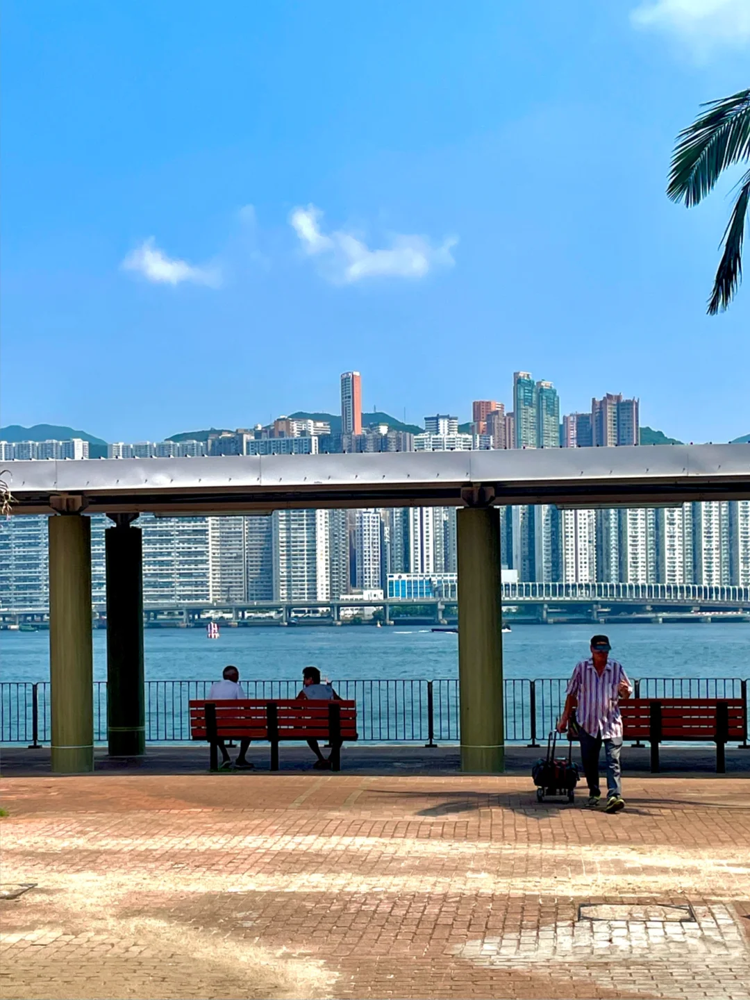 🇭🇰3天暴走香港！跟着路线图玩就对啦❗️