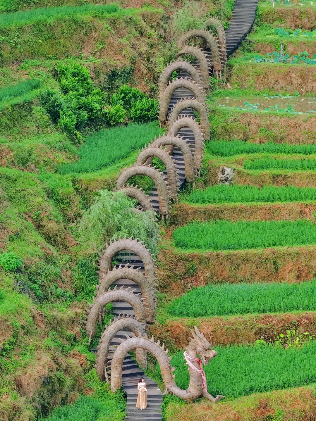被《国家地理》评为“江南最后的秘境”太美了！