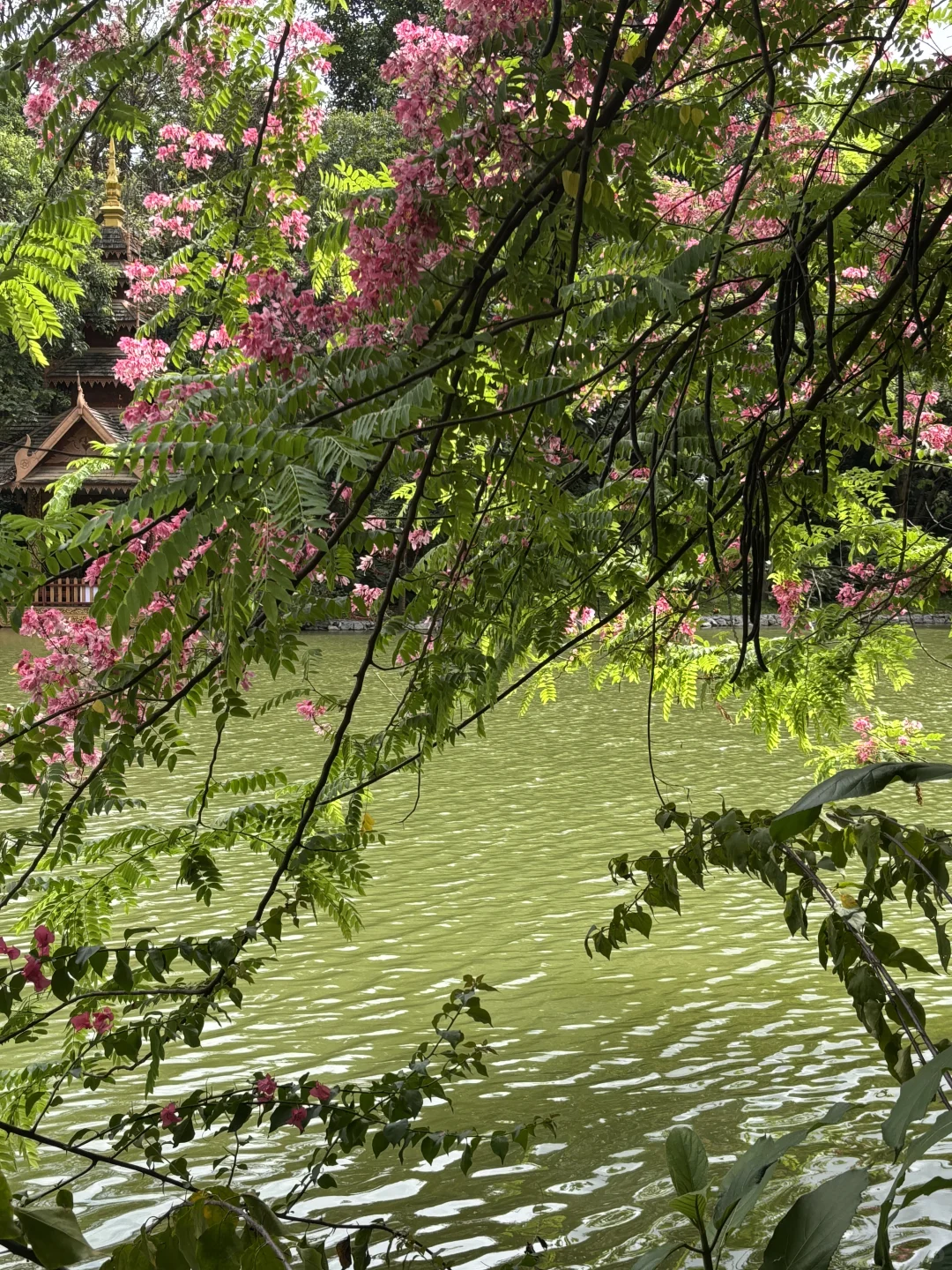 云南旅游攻略7天8晚 人均5k