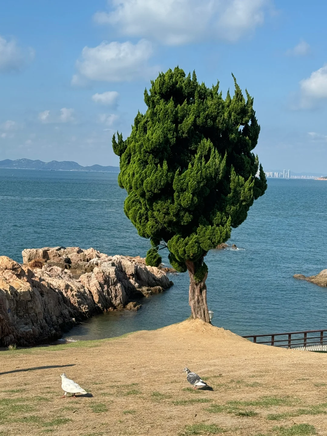 📍青岛这几个地方包出片的！！！ 📸🔆🌊