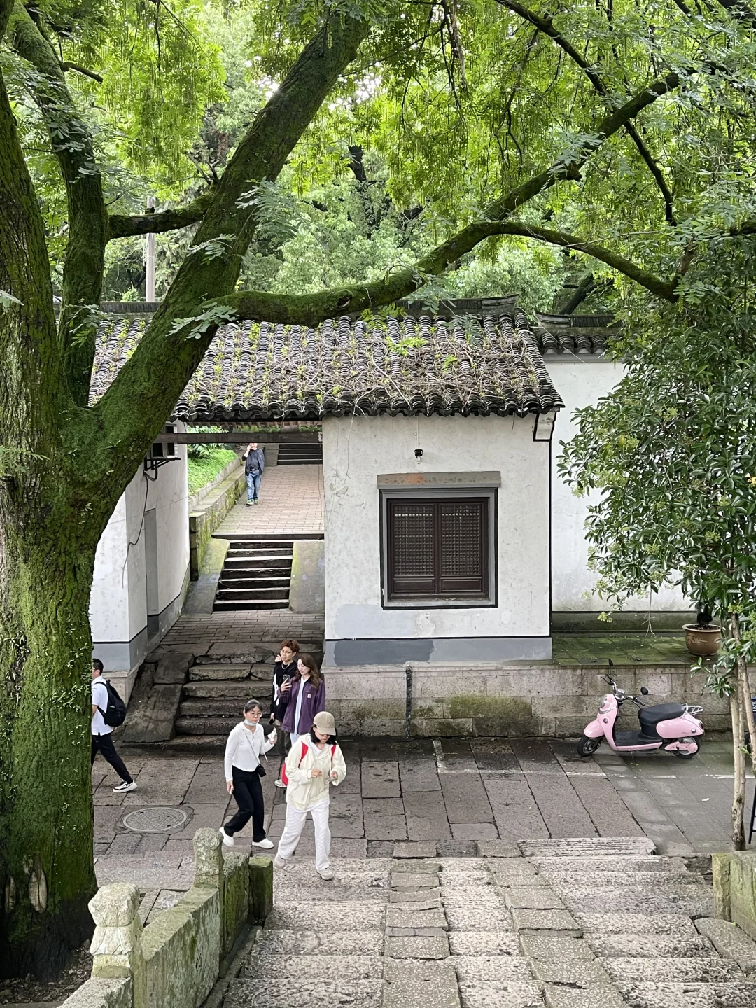 刚从绍兴旅游回来！😭😭只想说一些大实话…