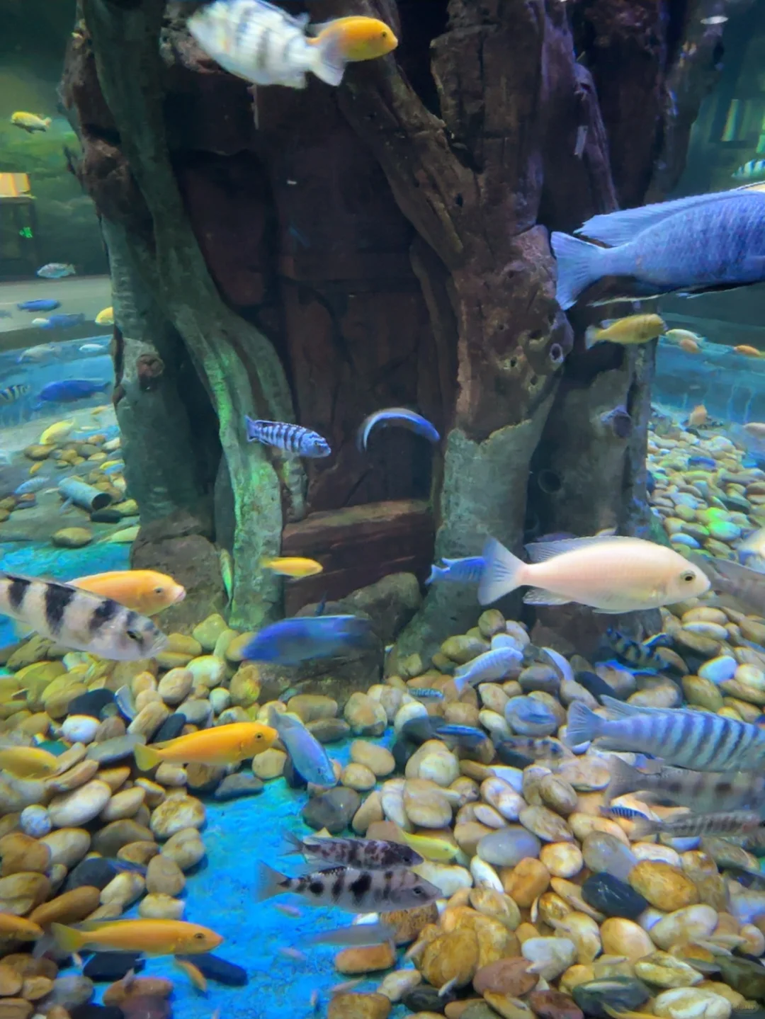 云南旅游攻略7天8晚 人均5k