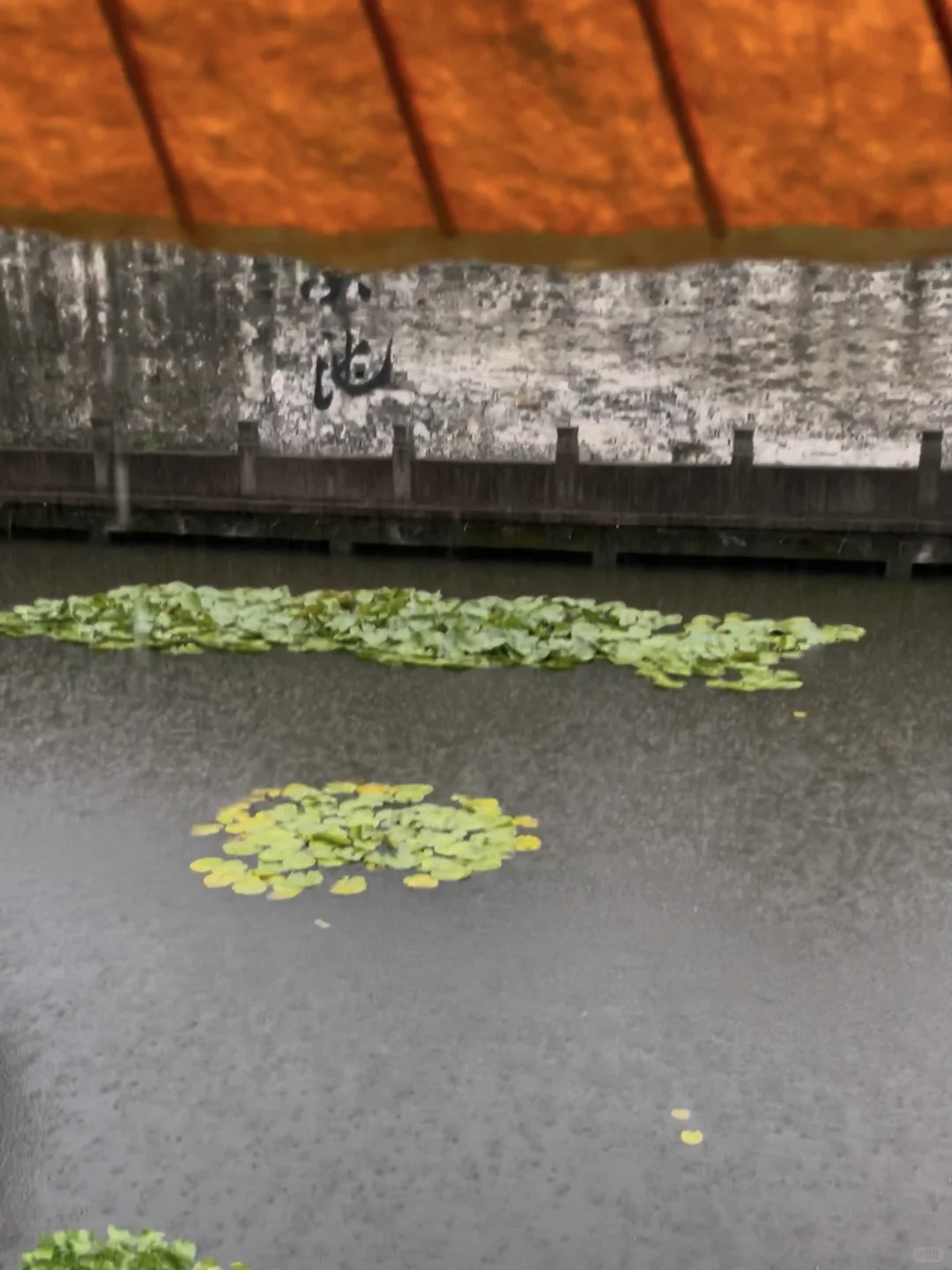 刚从绍兴旅游回来！😭😭只想说一些大实话…