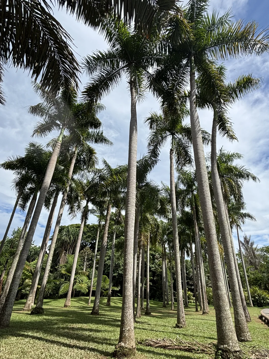 云南旅游攻略7天8晚 人均5k