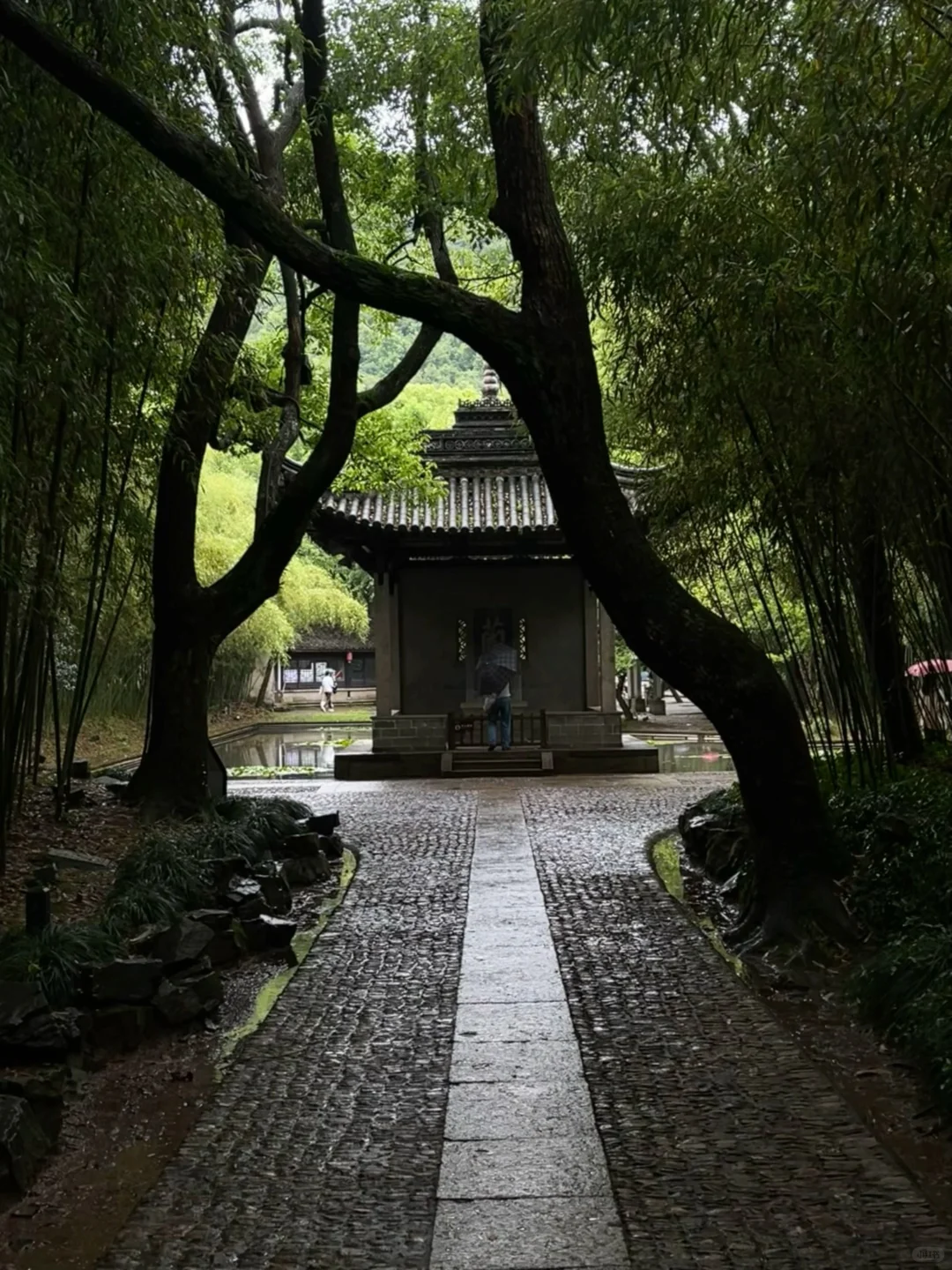 刚从绍兴旅游回来！😭😭只想说一些大实话…