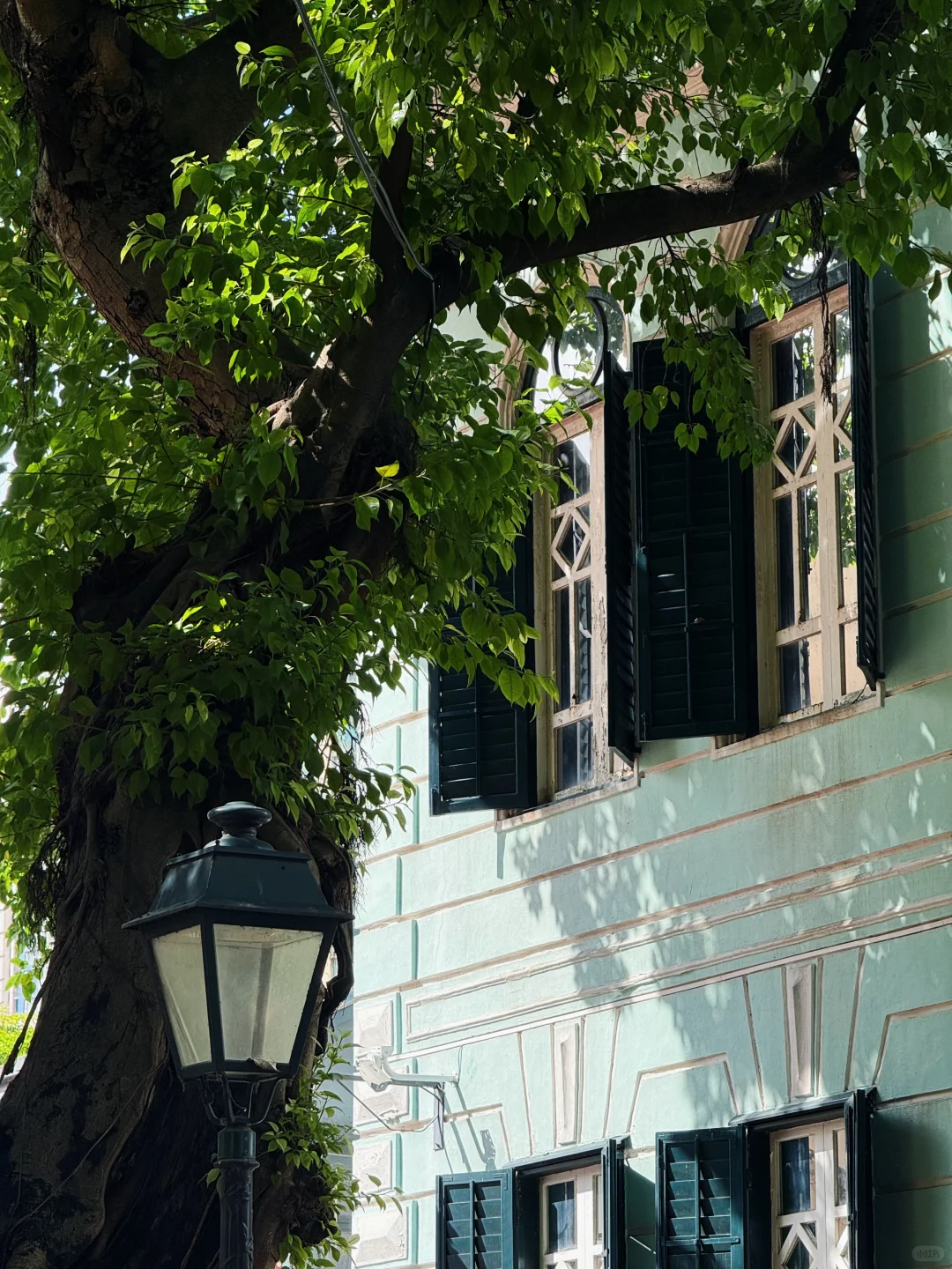 🇲🇴𝐌𝐚𝐜𝐚𝐮 𝐂𝐢𝐭𝐲𝐰𝐚𝐥𝐤🧸