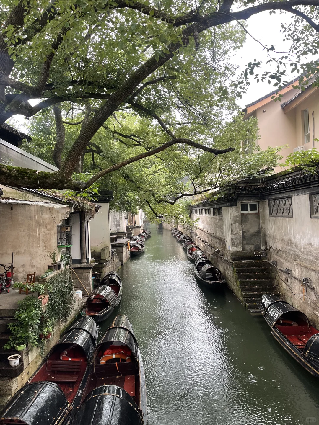 刚从绍兴旅游回来！😭😭只想说一些大实话…