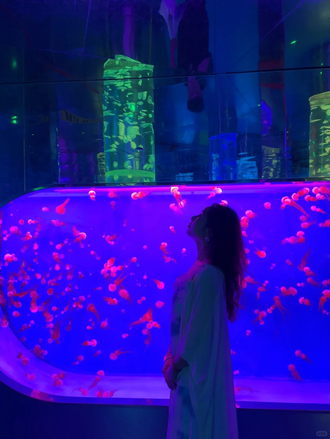 云南旅游攻略7天8晚 人均5k