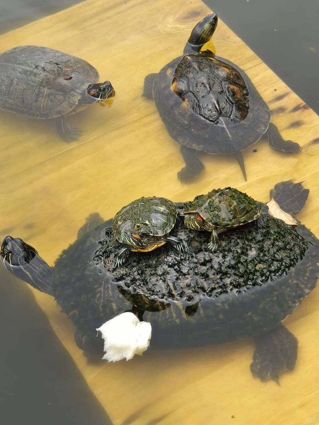 福州平潭泉州7天6晚旅游攻略 人均2300