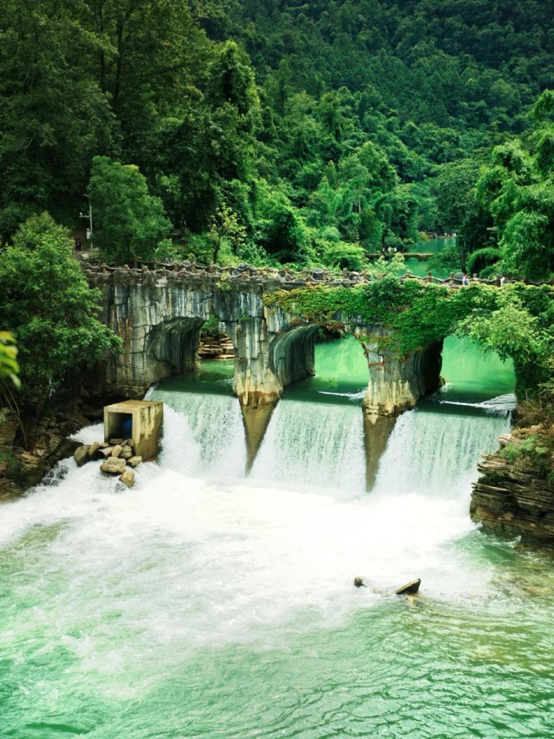 8.12📍贵州旅游崩溃现状❗奉劝要去的姐妹