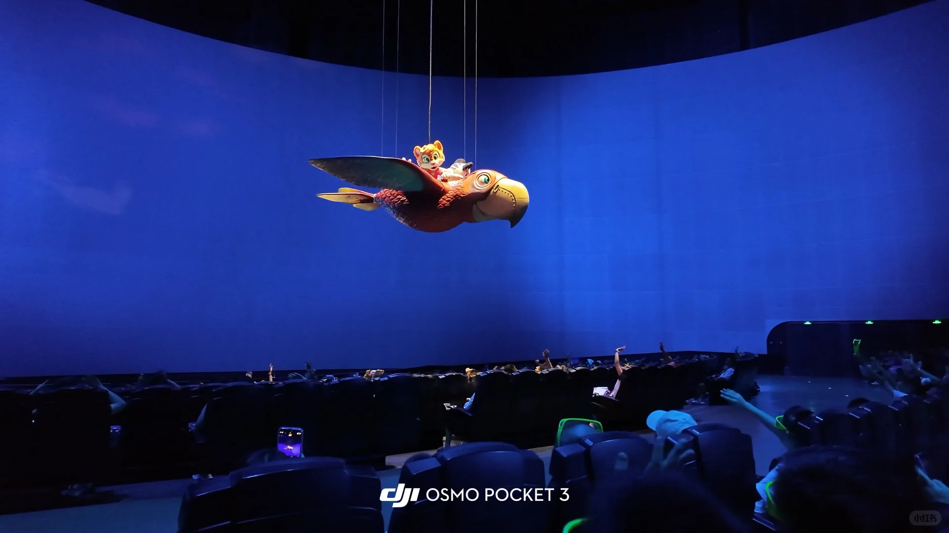 求大家不要放过这个珠海