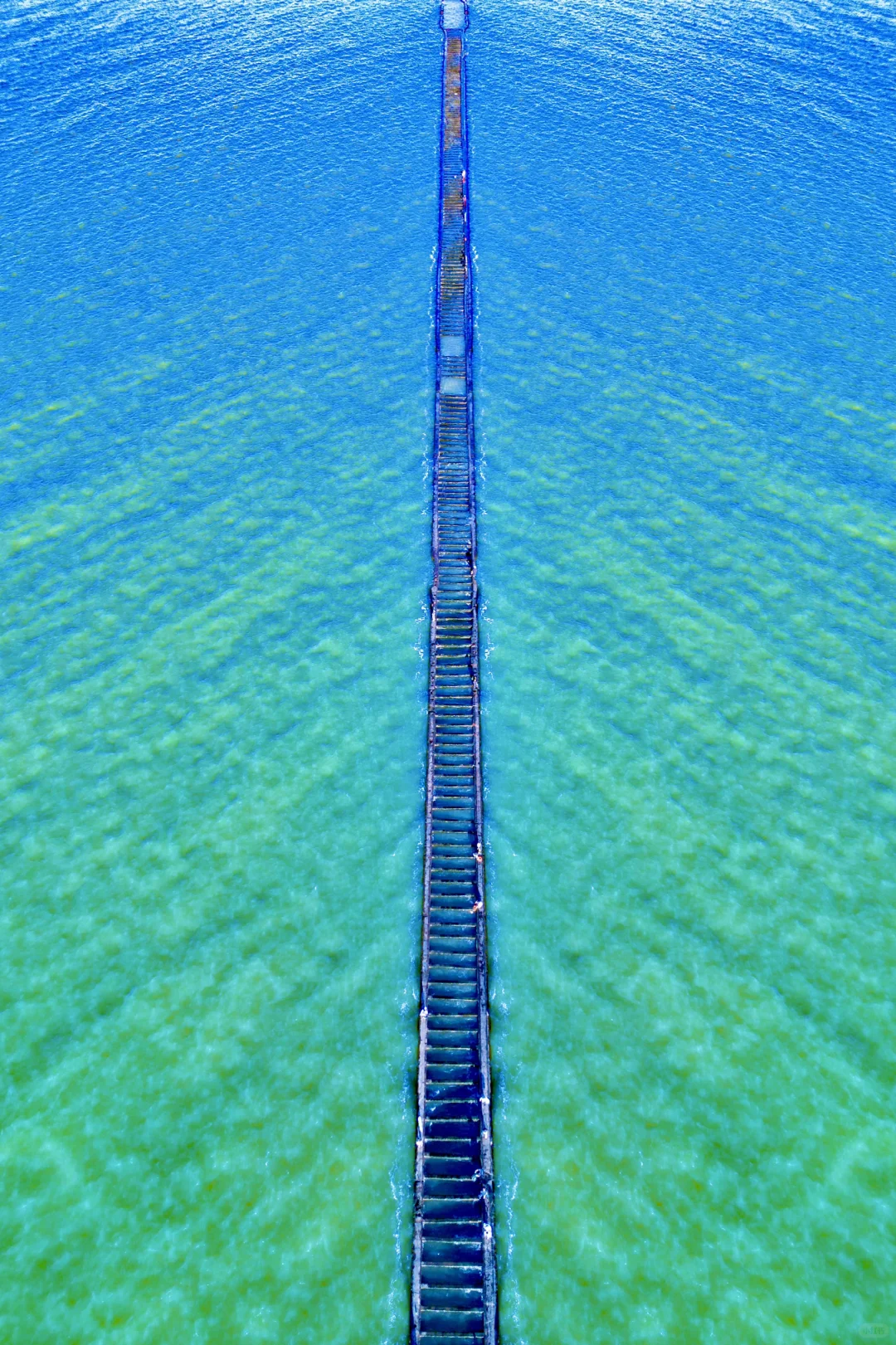 山东人嘴真严❗️被严重低估的冷门滨海小城～